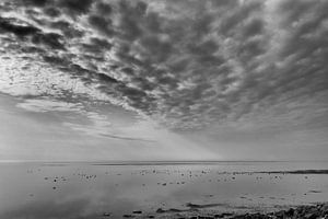 Wadden Sea Terschelling sur Waterpieper Fotografie