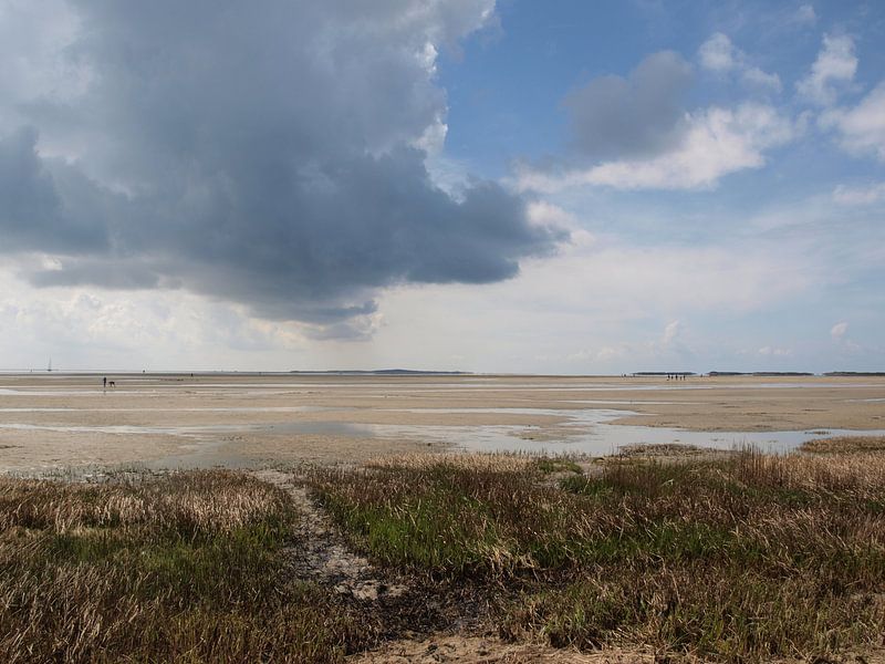 Groene Strand van Rinke Velds