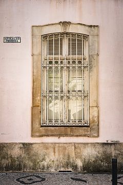 Afixacão Proïbida van Paula Romein