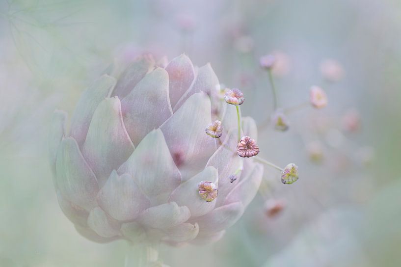 Romantic garden ( dubbele opname van een artisjok en kleine roze bloemetjes in een  tuin) van Birgitte Bergman