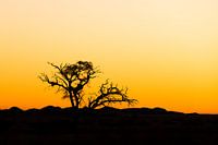 Zonsondergang