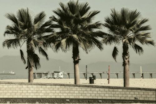 Santa Barbara I 