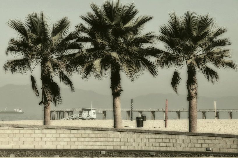 Santa Barbara I by Christine Nöhmeier