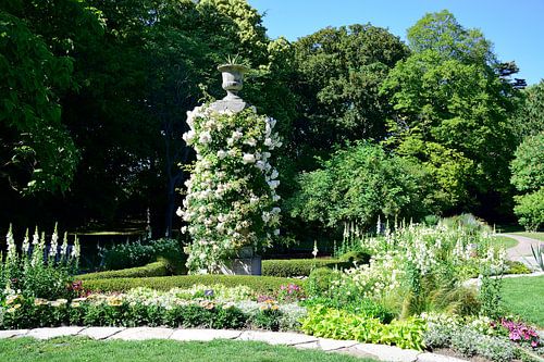 Geweldige botanische tuin