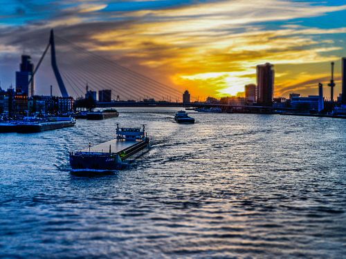 De Zwaan en de Maas