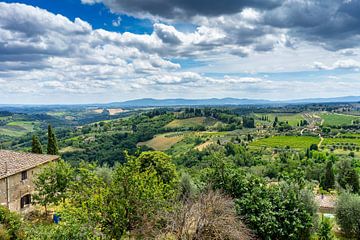 Landschaft der Toskana in Italien von Animaflora PicsStock