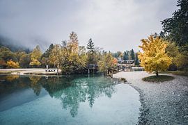 Gouden Herfst aan het bergmeer - Jezero Jasna, Slovenië van Daan Duvillier | Sfeervolle stads- en landschapsprints voor je interieur