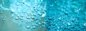 aqua