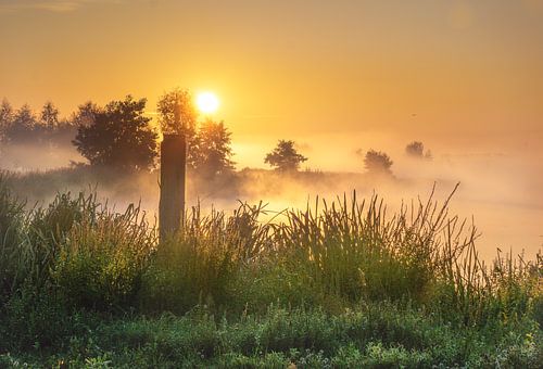 mist landschap polder
