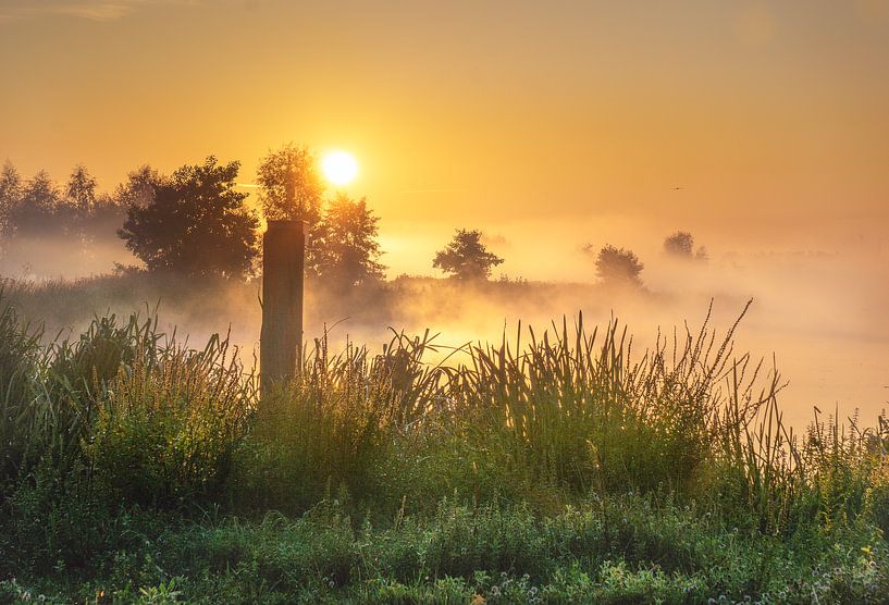 polder de paysage brumeux par natascha verbij