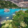 Dolomites Lago di Sorapis en été sur Jean Claude Castor