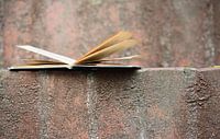 An opened old book on a wall