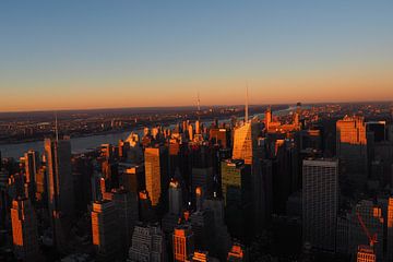 Skyline van New York van Maaike Slingerland Schrama