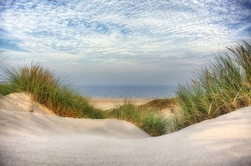 View through the marram grass to the sea by Fotografie Egmond