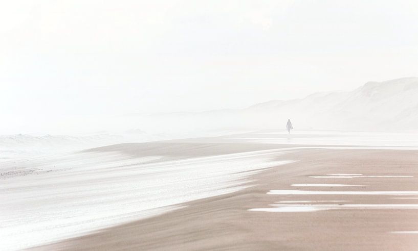 Walking along the tidemark by Nathan Marcusse