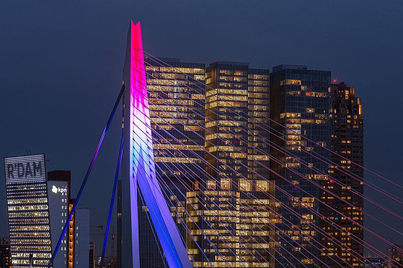 Gros plan sur le pont Erasmus de Rotterdam par Leon van der Velden