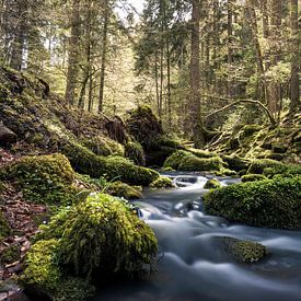 Early Power by Severin Frank Fotografie