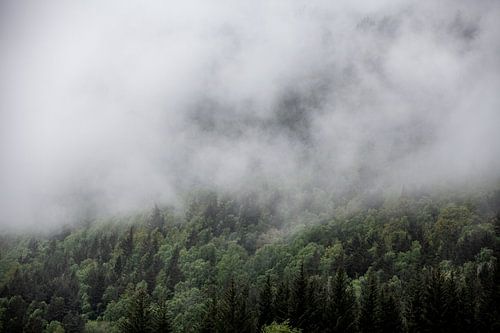 Quelque part en Norvège 5