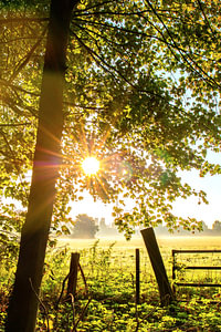 Sonnenaufgang_05