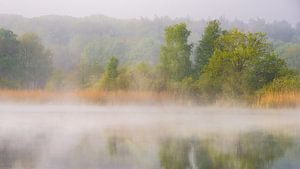 Lac relaxant