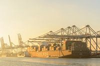 Containerschepen in de haven van Rotterdam