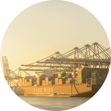 Containerschepen in de haven van Rotterdam van Sjoerd van der Wal Fotografie