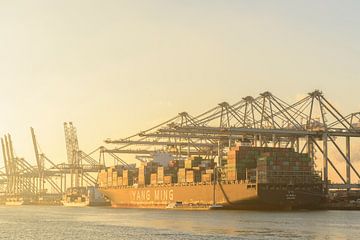 Containerschepen in de haven van Rotterdam van Sjoerd van der Wal