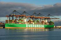 Containerschip Ever Mercy van Evergreen. van Jaap van den Berg thumbnail