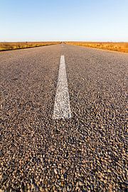 Road to Madagaskar von Dennis van de Water