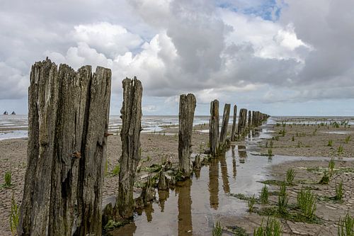 Palen op het Wad