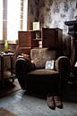 Get out of my chair by GVD Photography thumbnail