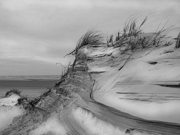 Les dunes après la tempête sur Jan Huneman