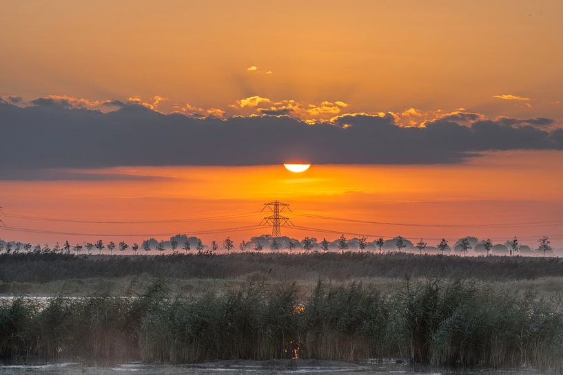 Strom im Dordtse Biesbosch von Willem Woudenberg / Photobywim