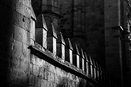 Visites touristiques à Salamanque sur Shanti Hesse