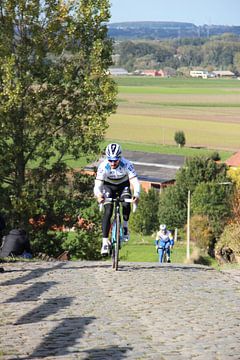 Julian Alaphilippe mit einem Auftrag von FreddyFinn