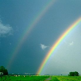 Dubbele regenboog boven een weiland