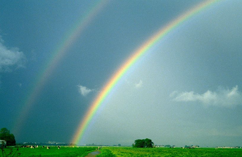 Doppelter Regenbogen über einer Wiese von Nature in Stock