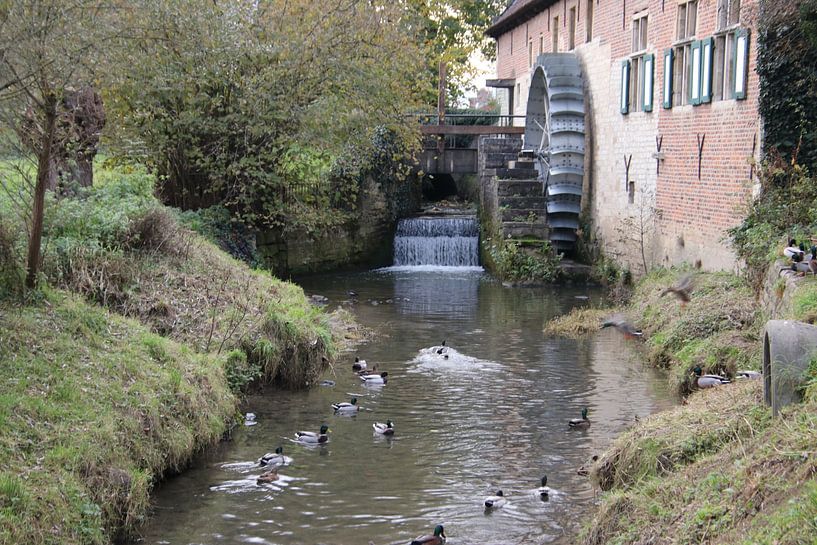Wassermühle in Grimbergen 2 von eddy Peelman