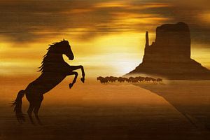 Der wilde Mustang