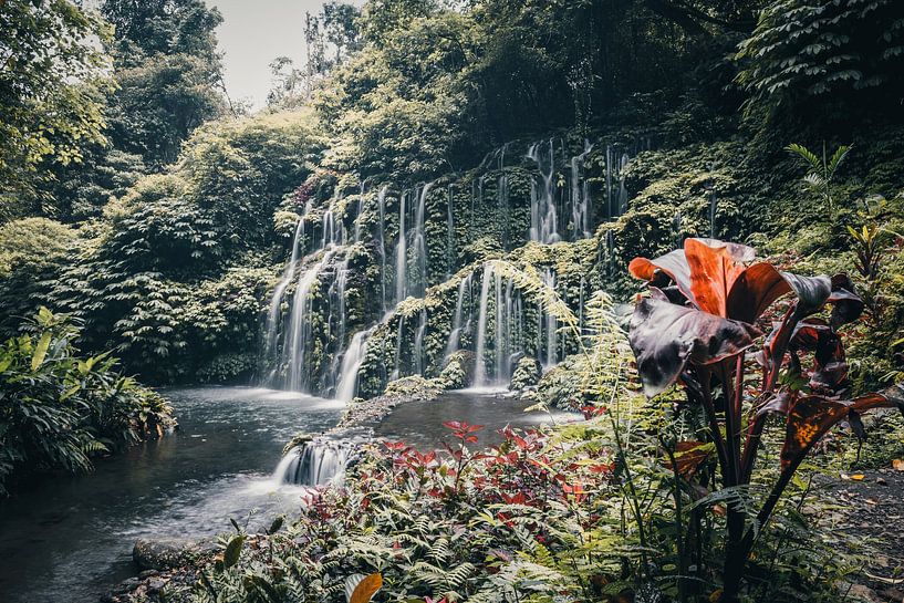 Enchanting waterfall in Bali's jungle, Indonesia by Troy Wegman