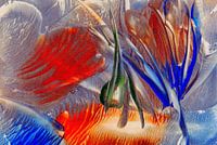 Mindful Colors 29