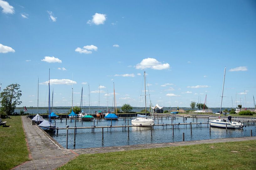 Boats in the harbour by Norbert Sülzner