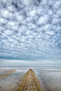Kleine Seebrücke im Friesischen Wattenmeer bei PaesensModdergat