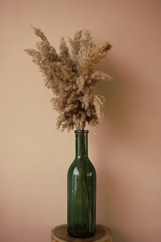 Soft grasses - cane plumes in green bottle