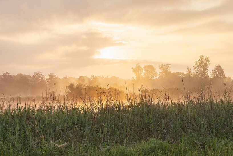 Sunrise Drenthe (Netherlands) by Marcel Kerdijk