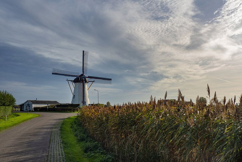 Windmühle Dreischor von Pictures by Van Haestregt