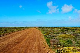 Freedom on the Atlantic  The Fishermen's Trail - golden cliffs, deep blue sea and endless expanses. by Miriam Schwarzfischer Fotografie
