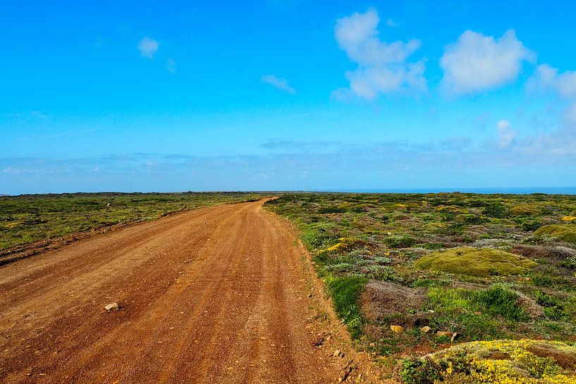 Freiheit am Atlantik 🌊🇵🇹 Der Fishermen’s Trail – goldene Klippen, tiefblaues Meer und endlose Weite. von Miriam Schwarzfischer Fotografie