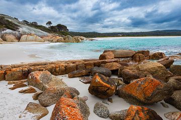 Bay of Fires III