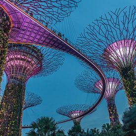 Singapour la nuit sur Paul de Roos